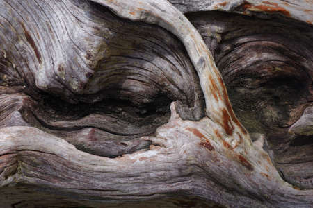 Old Wood Texture for Background.