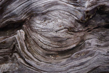 Old Wood Texture for Background.