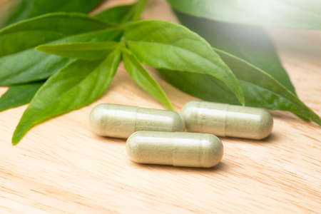 Close-up Andrographis paniculata Capsule and herbal plant on nature background.の写真素材