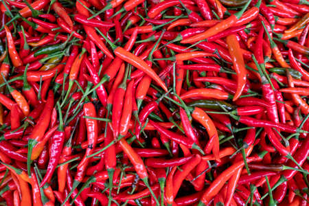 Chilli vegetable pattern for background.の写真素材