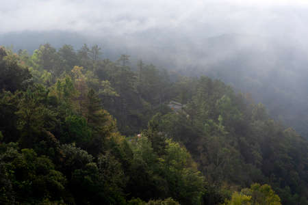 Beautiful view in the morning at Inthanon national park in Chiangmai, Thailand.