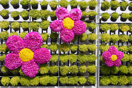 Flowers Pattern for Nature Background.