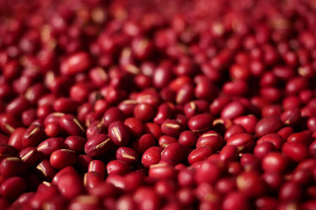 Adzuki Beans or Japanese Red Beans in nature background.の写真素材