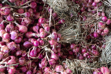 Red Onions displayed in local farmers' Warehouse.の写真素材