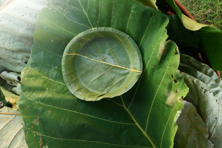 Recyclable Plates Are Made From Leaves.The Green product eco friendly concept.Eco friendly.