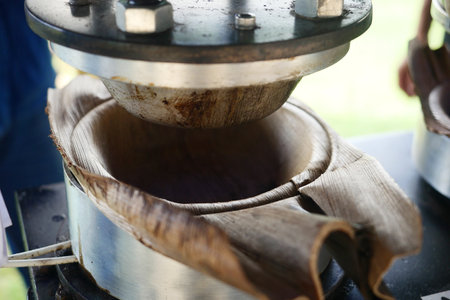 Recyclable Plates Are Made From Leaves.The Green product eco friendly concept.Eco friendly.の写真素材