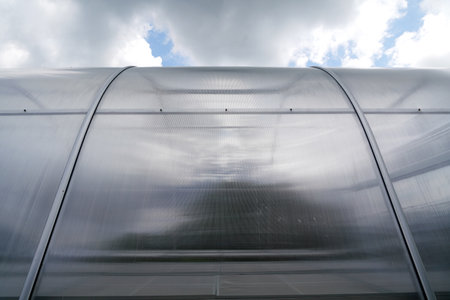 Green house or Nursery plants in nature background.の写真素材