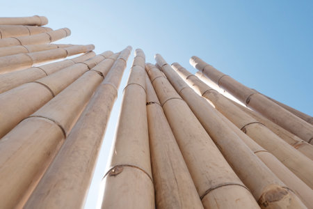 bamboo fence or wall texture background for interior or exterior design.の写真素材