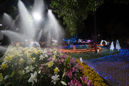 CHIANG MAI, THAILAND - FEBRUARY 3, 2024 :The Flower Festival Grounds at Suan Buak Haad Public Park in Chiang Mai, Thailand.のeditorial素材
