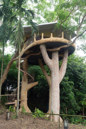 THAILAND - CHIANG MAI, 6 AUGUST 2024 : Tree house. house on tree in Chiang Mai garden, Thailand.のeditorial素材
