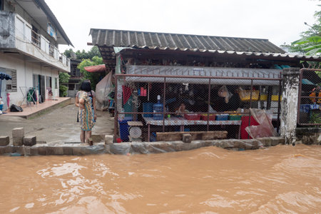CHIANG MAI, Thailand â 4 October, 2024 : Chiang Mai market Flooding in Chiang Mai city near the Ping River, effect of heavy raining from the mountain.のeditorial素材