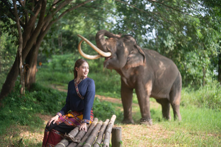 Beautiful young woman in Lanna costume with Thai elephant.の写真素材