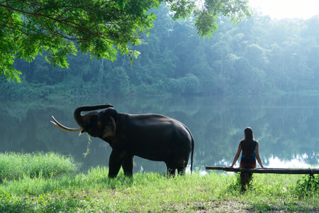 Beautiful young woman in Lanna costume with Thai elephant.の写真素材
