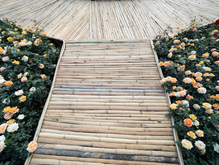 CHIANG MAI, THAILAND - FEBRUARY 5, 2025 :The Flower Festival Grounds at Suan Buak Haad Public Park in Chiang Mai, Thailand.の写真素材