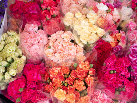 Beautiful Flowers pattern for nature background.の写真素材