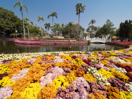 CHIANG MAI, THAILAND - FEBRUARY 18, 2026 :The Flower Festival Grounds at Suan Buak Haad Public Park...