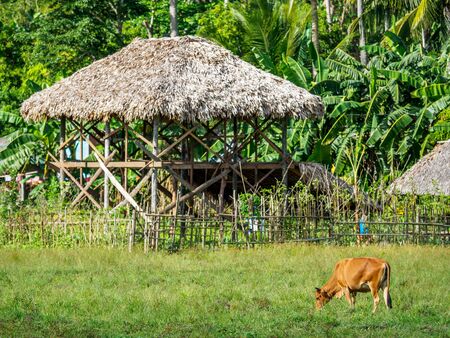 Traditional House, Philippinesの写真素材