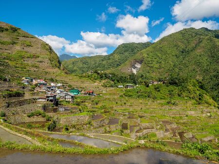 Rice Terrace, Philippinesの写真素材