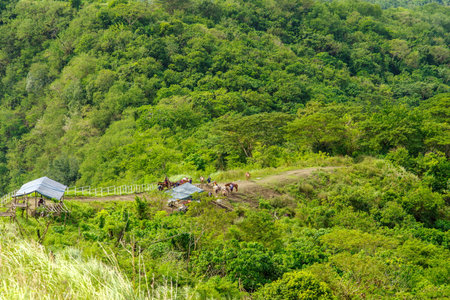 Taal Lake at TagayTay City, Philippinesのeditorial素材