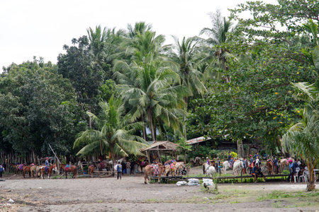 Taal Lake at TagayTay City, Philippinesのeditorial素材