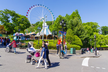 May 25, 2017  Flower garden at Everland, YoungIn city, South Koreaのeditorial素材