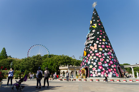 May 25, 2017  Tree at Everland, YoungIn city, South Koreaのeditorial素材