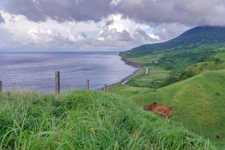 View from Vayang Rolling Hills, Ivatan Island, Batanes, Philippines