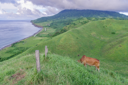 View from Vayang Rolling Hills, Ivatan Island, Batanes, Philippinesの写真素材