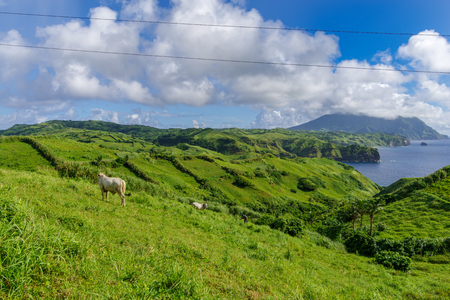 Mahatao Hilll at Batan Island , Batanes, Philippinesの写真素材
