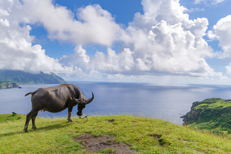 Marlboro Hills at Batan Island , Batanes, Philippinesの写真素材