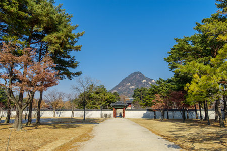 Dec 6,2017 Tourist walking in garden at Gyeongbok Palace, Seoul,Koreaのeditorial素材