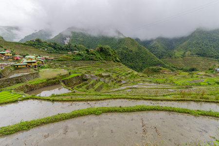 beautiful landscape  Batad rice terrace  in Banaue, Philippinesのeditorial素材