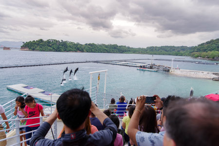 Jan 27,2018 Tourists enjoy dolphin show at Ocean Adventure, Subic, Philippinesのeditorial素材