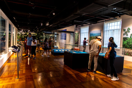 Jun 8, 2019 People viewing National Museum of Natural History exhibits, Manila, Philippines
