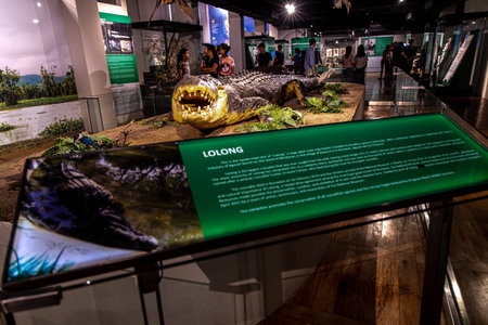 Jun 8, 2019 People viewing National Museum of Natural History exhibits, Manila, Philippinesのeditorial素材