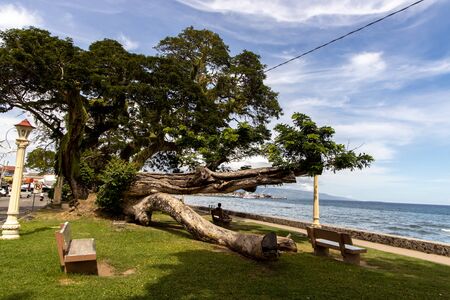 beautiful landscape at Rizal Boulevard, Dumaguete, Philippinesの写真素材