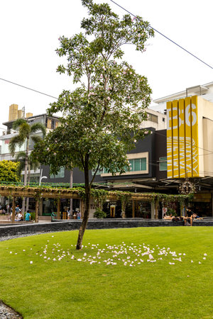 People who enjoy Sunday at the High Street, Makati , Metro Manila, Philippines, Oct 24, 2021のeditorial素材