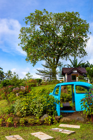 Beautiful flower garden at Quezon Provice, Philippinesの写真素材