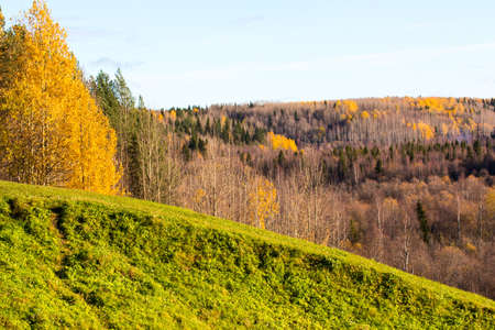 Autumn landscape, the road, the mill, birches, pines, blue sky at the north of Russiaの写真素材