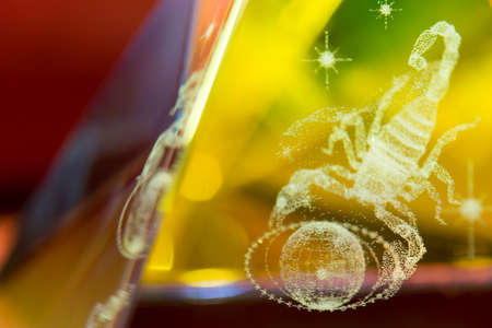 Scorpion in prism