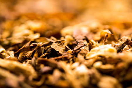 Background of tobacco