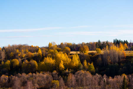Autumn landscape, the road, the mill, birches, pines, blue sky at the north of Russiaの写真素材