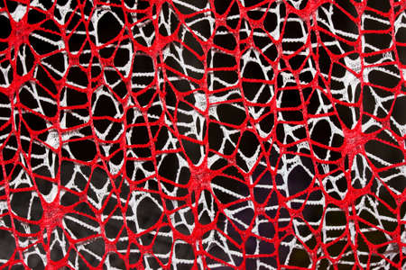 A towel close-upの写真素材