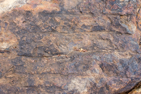 The surface of the stoneの写真素材