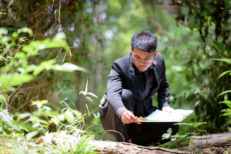 Plant researchers looking at wild plants to take notes.の写真素材