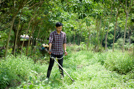 The farmer is cutting the grass.の写真素材