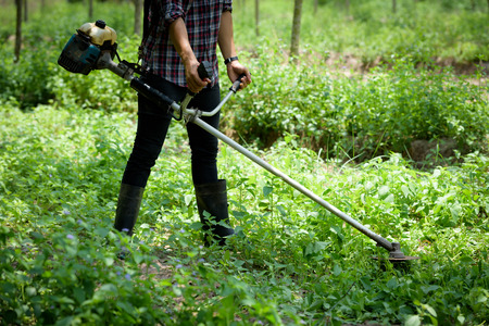 The farmer is cutting the grass.の写真素材