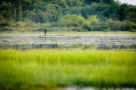 Fishermen are fishingの写真素材