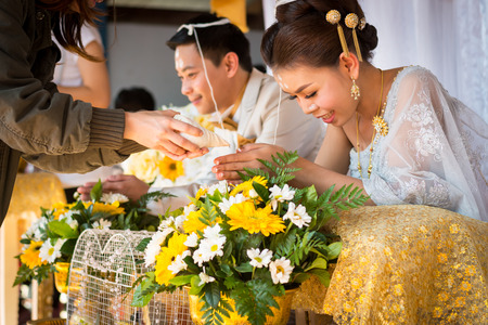 Watering the conch.の写真素材