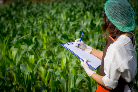 Young female farmer researchers are recording changes of corn on the report paper.